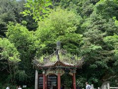 -王顺山国家森林公园