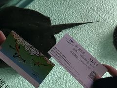 -上海海洋水族馆