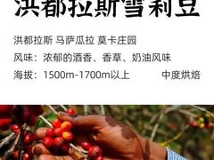 -南丰汇(新港东路店)