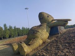 -嘉北郊野公园