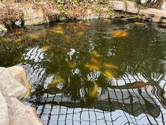 -龙达温泉生态城