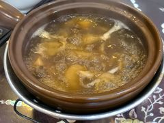 鱼翅-大中鱼翅 Taitong Shark Fin