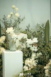 -明典婚礼策划·婚车租赁·婚纱摄影