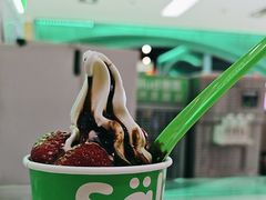 -Salud撒露欧洲冻酸奶(五道口购物中心店)