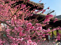 -祥源·阜阳生态乐园