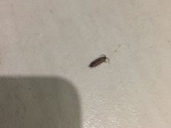 -海友酒店(上海静安寺店)