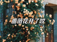 -老门东历史文化街区