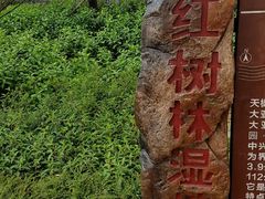 门面-大亚湾红树林城市湿地公园