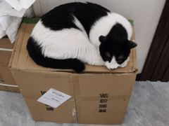 -美联众合动物医院(唯恩分院)