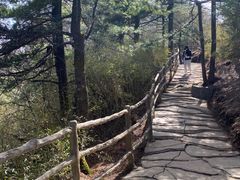 -洛阳白云山景区