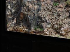 -温岭石塘海边