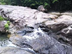 -广州白江湖森林公园