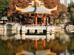 -金砂公园