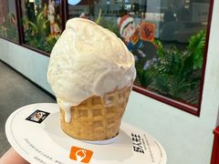 -野人先生现做冰淇淋(北京王府井东方新天地店)