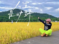 -风云岭森林公园