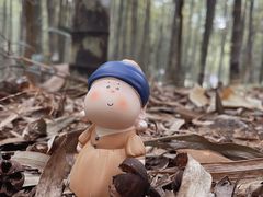-广州市石门国家森林公园