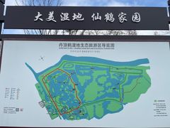 -盐城丹顶鹤湿地生态旅游区