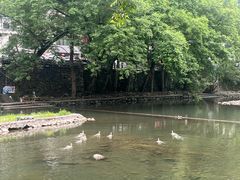 -鹿亭中村