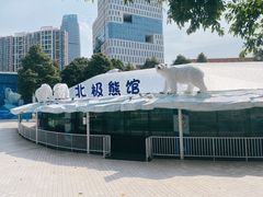 -海合安成都极地海洋公园