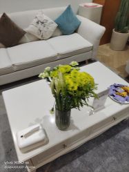 -HEYAN荷妍专业脱毛连锁机构