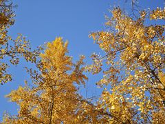 -浙江农林大学(东湖校区)