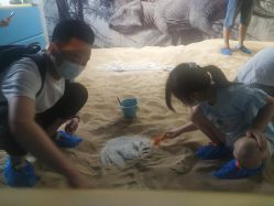 -恐龙探索乐园(磁器口店)