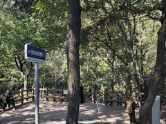 -沂蒙山旅游区云蒙景区(蒙山国家森林公园)
