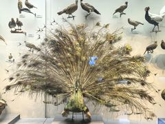 -天津自然博物馆