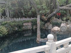 -蝴蝶泉公园