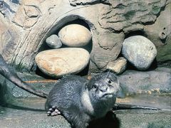 -西安曲江海洋极地公园