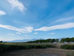 -野鸭湖国家湿地公园