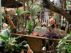 -Jungle Kitchen