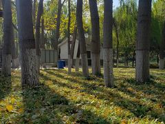 -辛玛王国游乐园