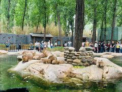 -北京野生动物园