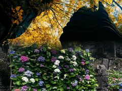 -梭布垭石林景区