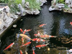 -鲤院·新中式美学·庭院餐厅(夫子庙店)
