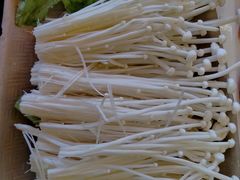 -小龙坎老火锅(北京三里屯店)