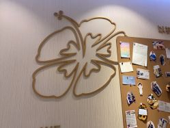 -上海首尔丽格医疗美容医院