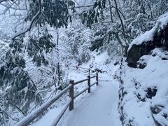 -九峰山