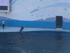 -北戴河圣蓝海洋公园