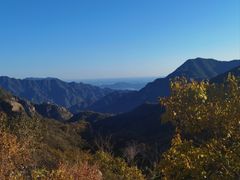 -大岭沟猕猴桃谷风景区