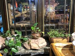 -可可大虾武汉土菜大排档(万松园1店)