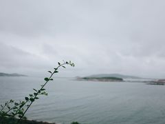 -北港方记海鲜楼·海景餐厅