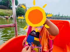 -枫香湖儿童公园