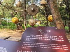 -北海金海湾红树林生态旅游区