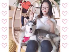 -Husky Go! 哈士奇体验馆·宠物咖啡厅狗咖