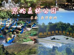 -西双版纳原始森林公园