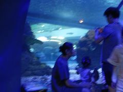 -江和美海洋公园