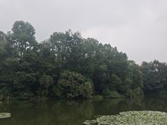 -成都老君山