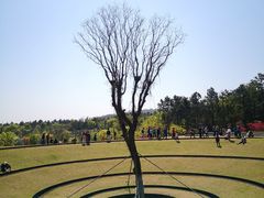 -牛首山文化旅游区